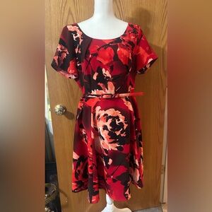 Eva Mendes - NY & Co dress Large